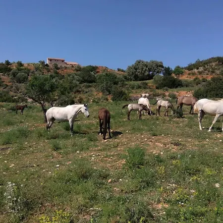 Masia Mas Del Rey Salsadella