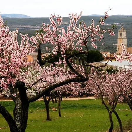 Villa Masia Mas Del Rey Salsadella
